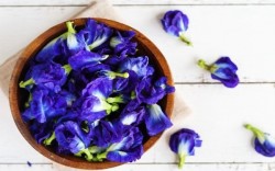 Hoa đậu biếc có tác dụng gì? 9 tác dụng của hoa đậu biếc và cách sử dụng